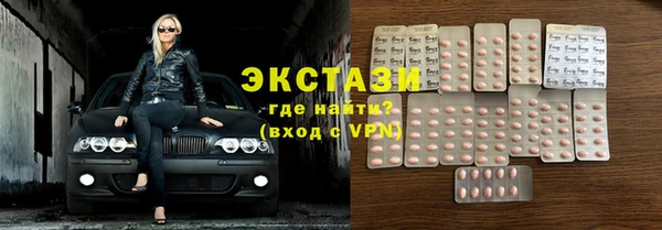 ECSTASY Богородицк