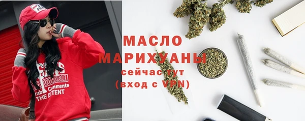 ECSTASY Богородицк