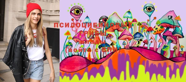 ECSTASY Богородицк