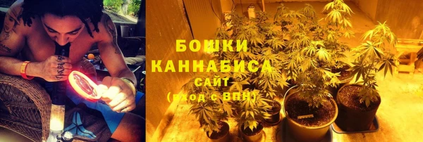ECSTASY Богородицк