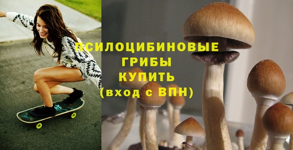 ECSTASY Богородицк