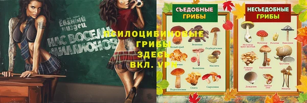кристаллы Богданович