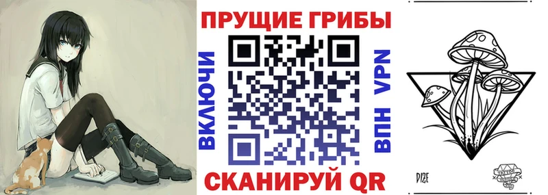 Псилоцибиновые грибы Psilocybine cubensis  kraken ССЫЛКА  Тверь 